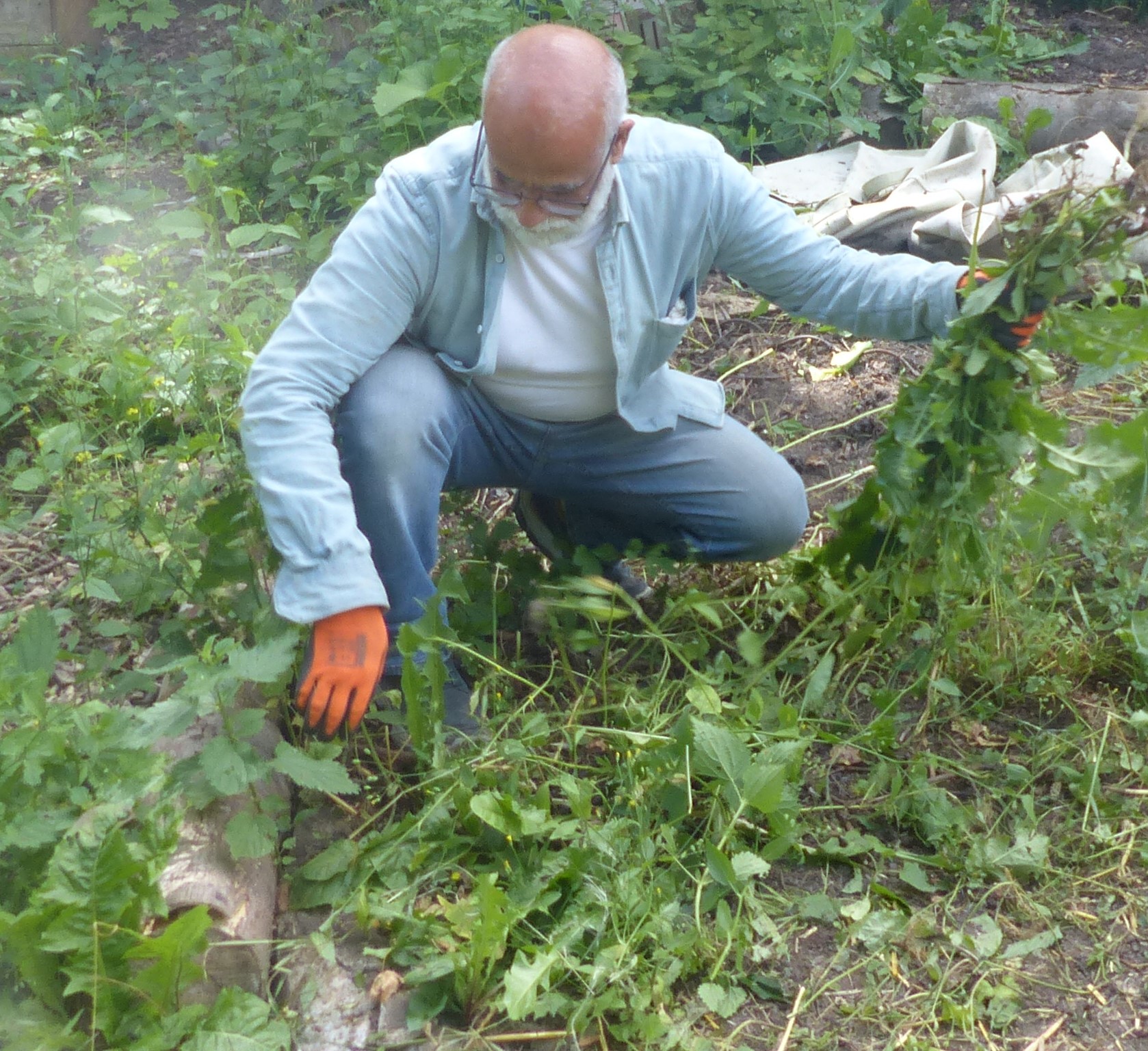 Atelier jardin 4